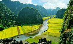SETTING UP BUSINESS IN VIETNAM - HOW TO SETTING UP A COMPANIES WITH 100% FOREIGN CAPITAL IN VIETNAM
